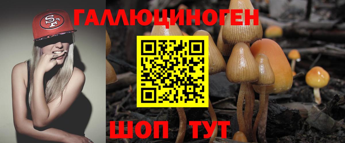 Галлюциногенные грибы Psilocybine cubensis  Псилоцибиновые грибы Magic Shrooms  цены   Вход с VPN  Белогорск 